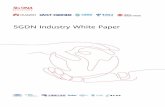 5GDN Industry White Paper 5G确定性网络产业白皮书