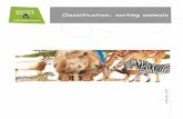Classification: sorting animals - Zoos SA