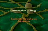 Introduction to Fungi - KSU