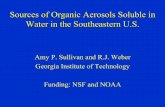Sources of Organic Aerosols Soluble in Water in the ...