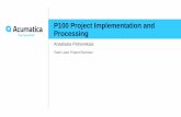P100 Project Implementation and Processing