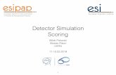 Detector Simulation Scoring - CERN