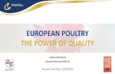 EUROPEAN POULTRY THE POWER OF QUALITY