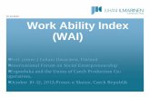 15.10.2013 Work Ability Index (WAI)