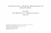 Annual Performance Report Template
