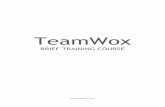 Enter the help project title here - TeamWox