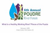 What is a Healthy Working River? Pieces of the Puzzle