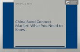 China Bond Connect Market: What You Need to Know
