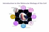Introduction to the Molecular Biology of the Cell