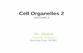 Cell Organelles 2 - koracademy.com
