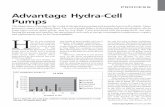 Advantage Hydra-Cell Pumps