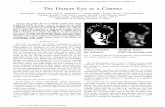 The Human Eye as a Camera - WearCam.org