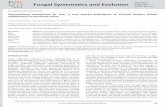 VOLUME 7 Fungal Systematics and EvolutionJUNE 2021