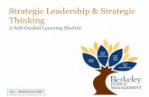 Strategic Leadership & Strategic Thinking