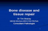 Bone disease and tissue repair - pathkids.com