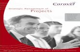 Strategic Management of Projects