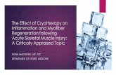 The Effect of Cryotherapy on Inflammation and Myofiber ...