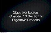 Digestive System Chapter 16 Section 2 Digestive Process