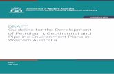 Guideline for the Development of Petroleum, Geothermal and ...