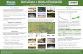 Species richness of mammals and terrestrial birds across a ...