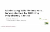 Minimizing Wildlife Impacts in Vegetables by Utilizing ...