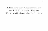 Mushroom Cultivation at UI Organic Farm Diversifying the ...