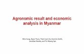 Agronomic result and economic analysis in Myanmar