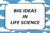 BIG IDEAS IN LIFE SCIENCE