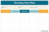 Nursing Care Plan - usa.edu