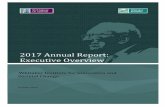 2017 Annual Report: Executive Overview - Whitaker Institute