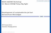 For presentation purpose only NEDO-ADEME Workshop 12 ...
