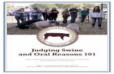 Judging Swine and Oral Reasons 101
