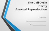 The Cell Cycle Part 3 Asexual Reproduction