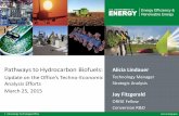 Pathways to Hydrocarbon Biofuels - energy.gov