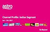 Channel Profile: Indian Segment