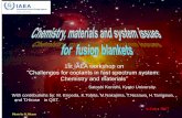 1st IAEA workshop on “Challenges for coolants in fast ...