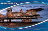 PEINSO – Petrological Integrated Solutions