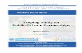 Scoping Study on Public-Private Partnerships