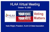HLAA Virtual Meeting - Hearing Loss