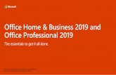 Office Home & Business 2019 and Office Professional 2019