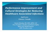 Performance Improvement and Cultural Strategies for ...