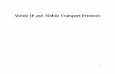 Mobile IP and Mobile Transport Protocols