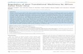 Regulation of Host Translational Machinery by African ...