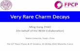 Very Rare Charm Decays - IHEP