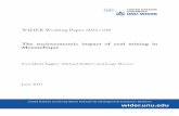 WIDER Working Paper 2021/108