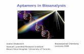 Aptamers in Bioanalysis