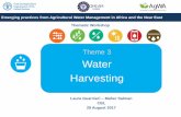 Theme 3 Water Harvesting