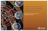 Aboriginal and Torres Strait Islander Cultural Capability ...
