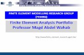 Finite Element Analysis Portfolio Professor Magd Abdel Wahab