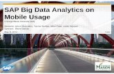 SAP Big Data Analytics Final Presentation